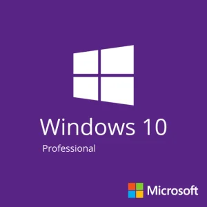 windows 10 professional