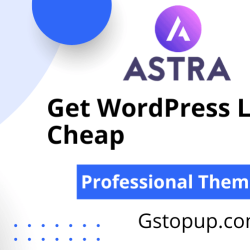 Wordpress Theme & Plugin